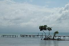 Belize Coast